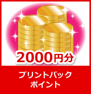 プリントパックポイント2000円分