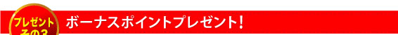 ボーナスポイントプレゼント!
