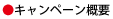 キャンペーン概要