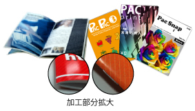 �t���C���[�E�`���V/�ό`�t���C���[
