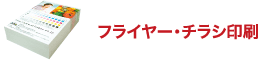 �t���C���[