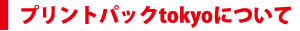 �v�����g�p�b�Ntokyo�ɂ���