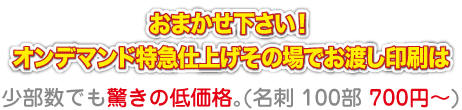 �I���f�}���h���}�d�グ���̏�ł��n������͏������ł������̉��i�B(���h 100�� 700�~�`)���܂����������I 