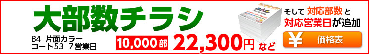 �啔���`���V�L�����y�[��