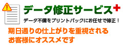 データ修正サービス