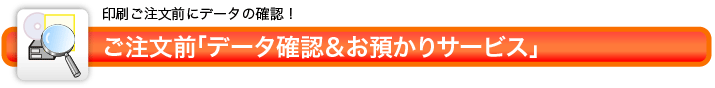 事前データ診断サービス