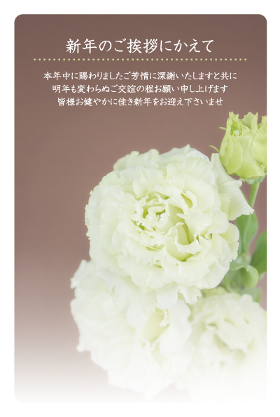 デザイン GTMO070