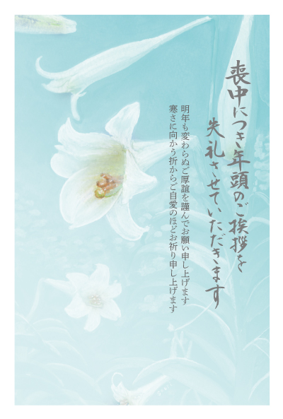 デザイン GTMO916