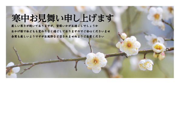 デザイン GYKC903