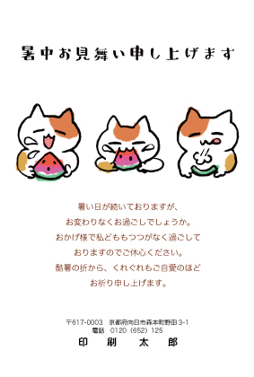 デザイン KTCO_SS033