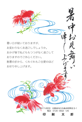 デザイン KTCO_SS100