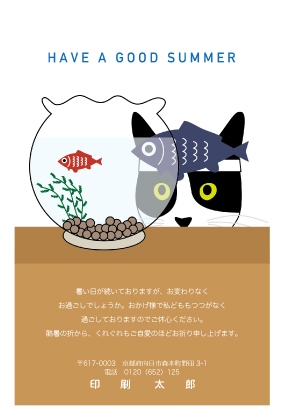 デザイン KTCO_SS113