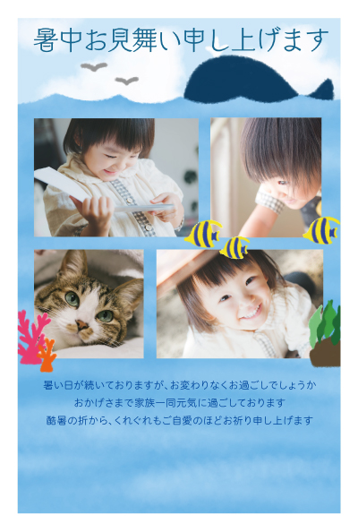 デザイン KTCO_SS169