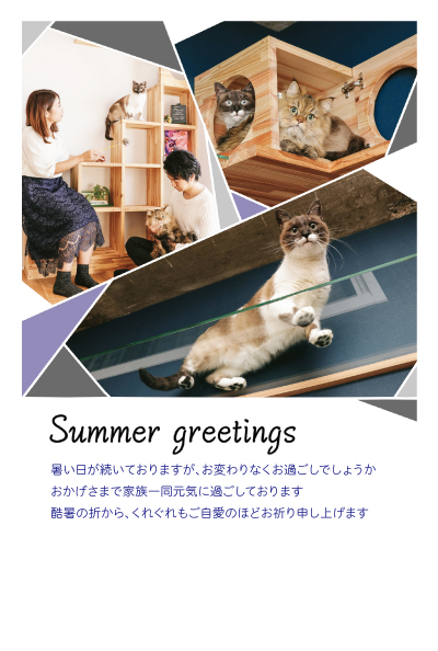 デザイン KTCO_SS170