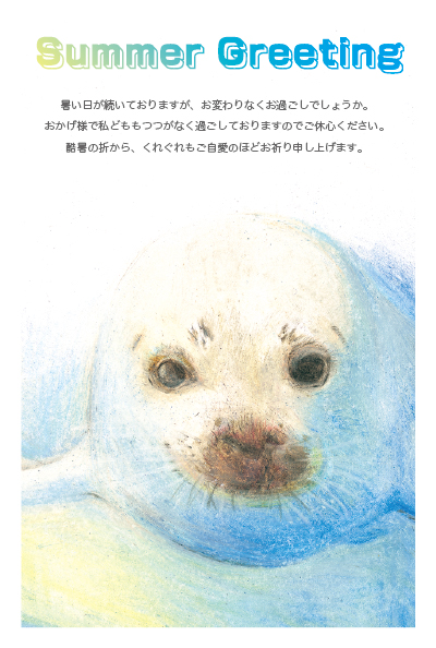 デザイン KTCO_SS333