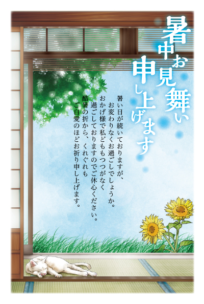 デザイン KTCO_SS351