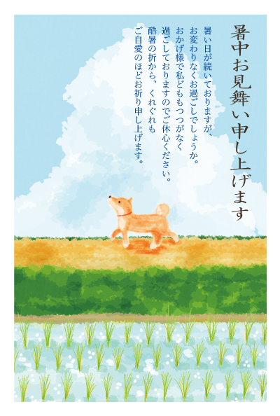 デザイン KTCO_SS465