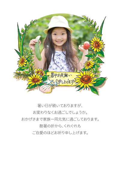 デザイン KTCO_SS529
