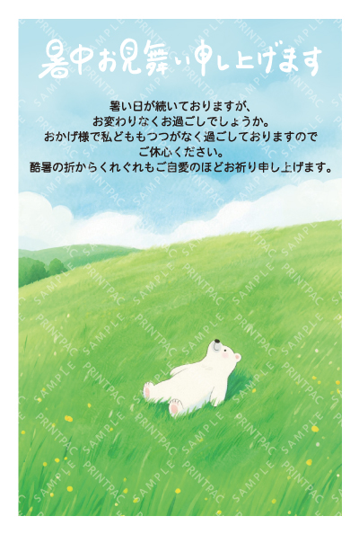 デザイン KTCO_SS605