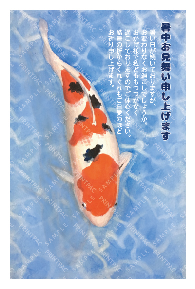 デザイン KTCO_SS618