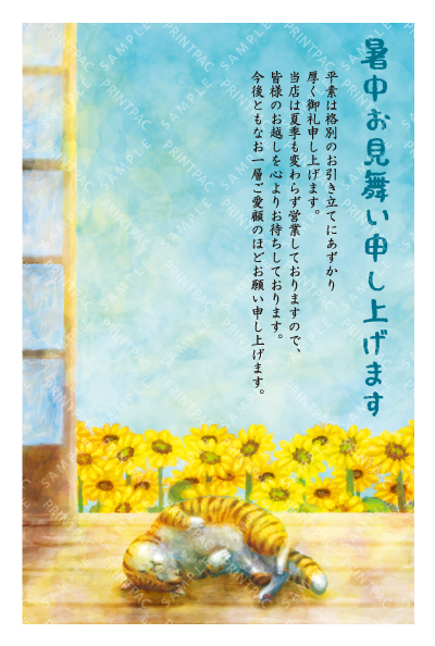 デザイン KTCO_SS685