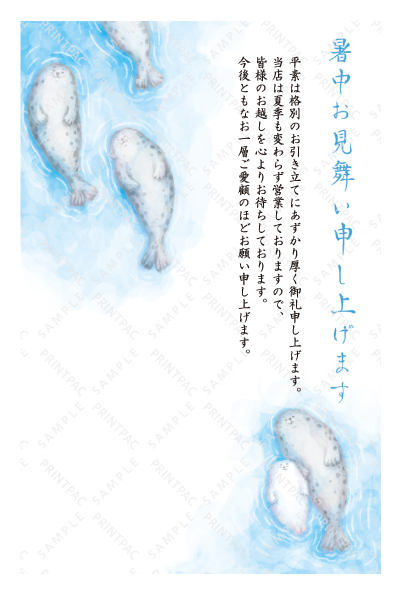 デザイン KTCO_SS696