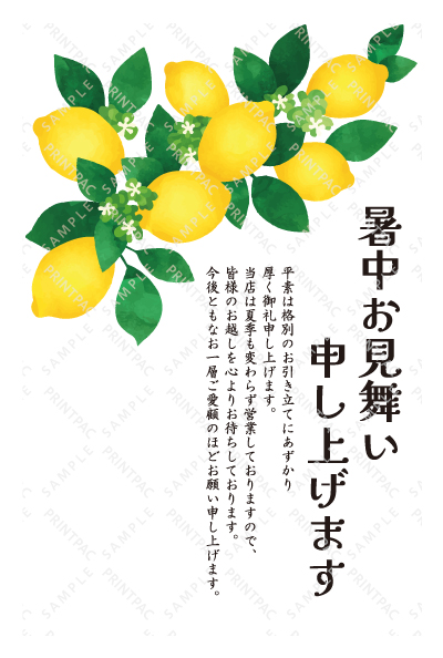 デザイン KTCO_SS716