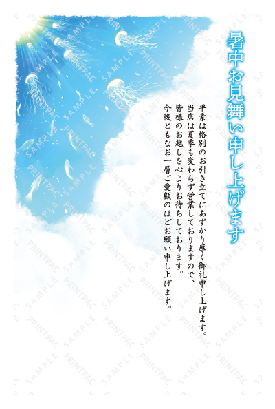 デザイン KTCO_SS721