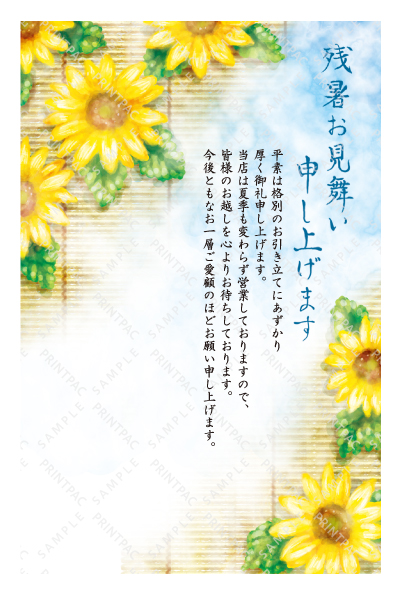 デザイン KTCO_SS734