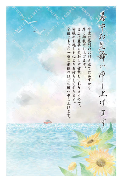 デザイン KTCO_SS737