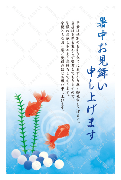 デザイン KTCO_SS739