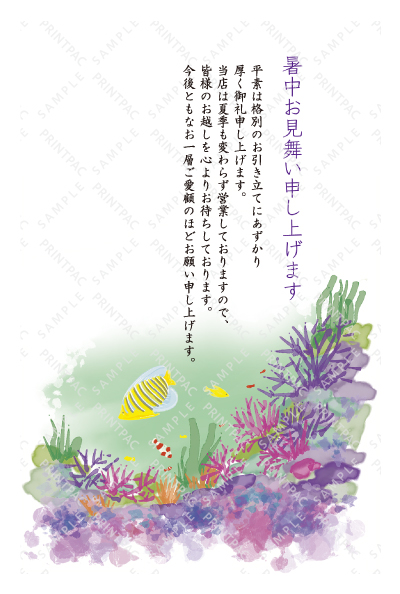 デザイン KTCO_SS740