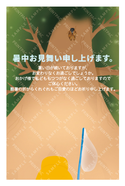 デザイン KTCO_SS753