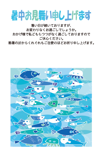 デザイン KTCO_SS755