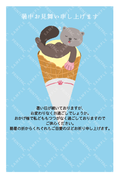 デザイン KTCO_SS762