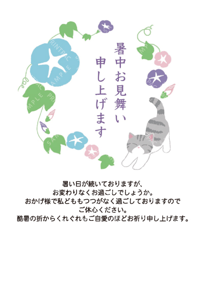 デザイン KTCO_SS763