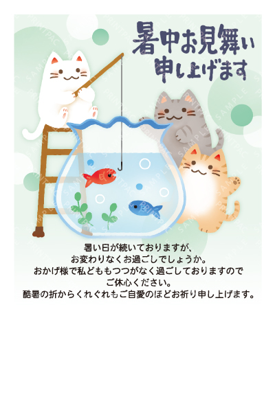 デザイン KTCO_SS765