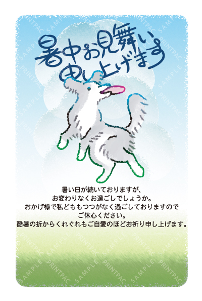 デザイン KTCO_SS772