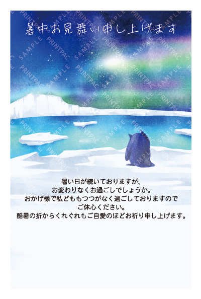 デザイン KTCO_SS779