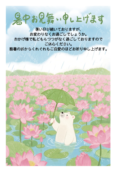 デザイン KTCO_SS787
