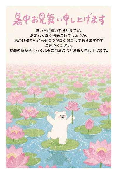 デザイン KTCO_SS788