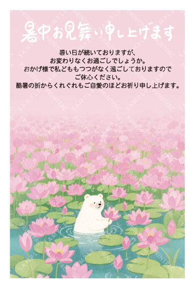 デザイン KTCO_SS789