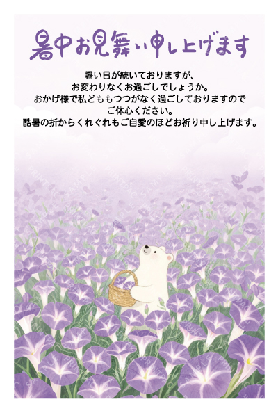 デザイン KTCO_SS790