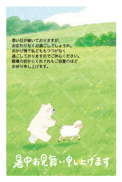 デザイン KTCO_SS791