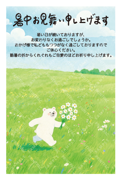 デザイン KTCO_SS793