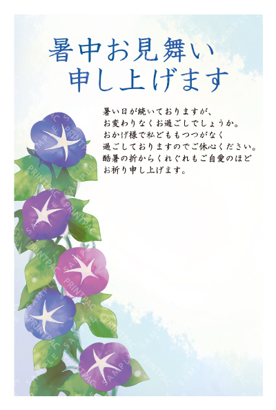 デザイン KTCO_SS795