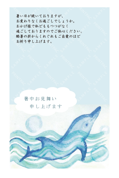 デザイン KTCO_SS815
