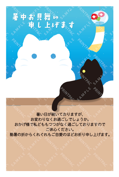 デザイン KTCO_SS816