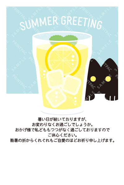 デザイン KTCO_SS818