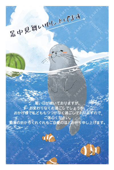 デザイン KTCO_SS856
